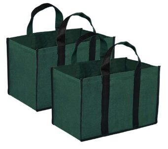 DAHSHA Pack of 2 Canvas Shopping Bag/Grocery Bag/Vegetable Bag- Kitchen Essentials (43x26x28cm, Green)
